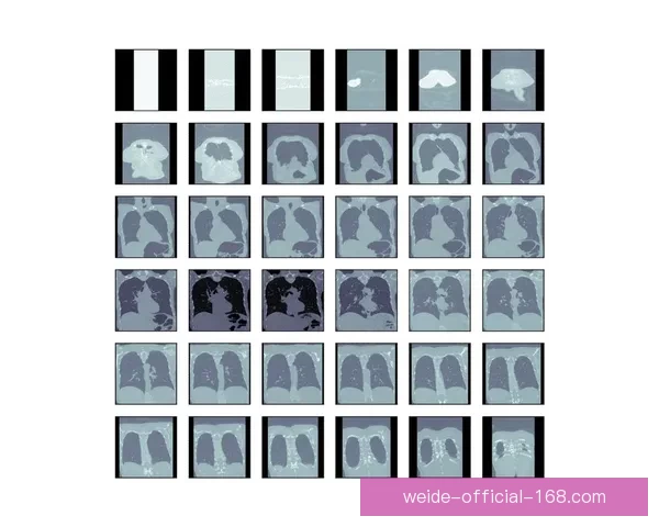 全面解析伟德赛事数据与动态,助您精准预测比赛走势 全面解析伟德赛事数据与动态,助您精准预测比赛走势