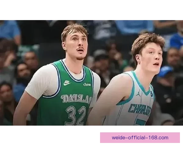 克努佩尔三双领黄蜂力克尼克斯鲍尔贡献22分助攻